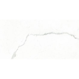 Gạch ốp tường Trường Thịnh WALL TILES TT36090